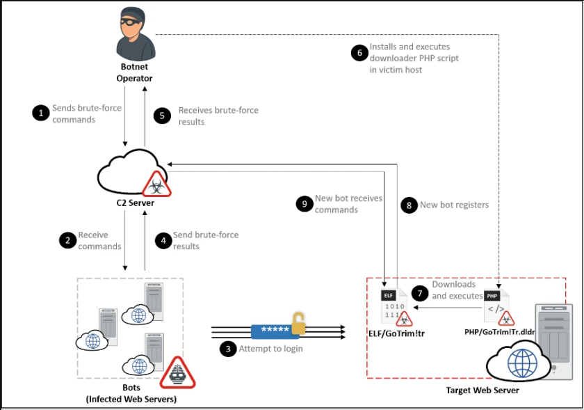 botnet-diagram