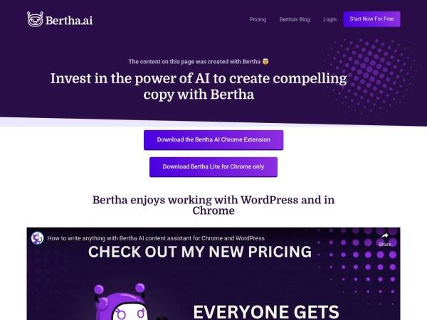 bertha.ai 截图