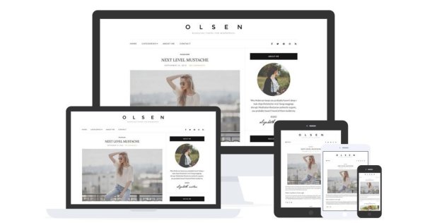 WordPress 免费个人博客主题 Olsen Light