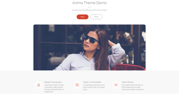 WordPress 多用途免费主题 Anima