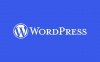 WordPress 6.6 新功能大全：样板覆盖、块绑定 API、数据视图、新设计工具等