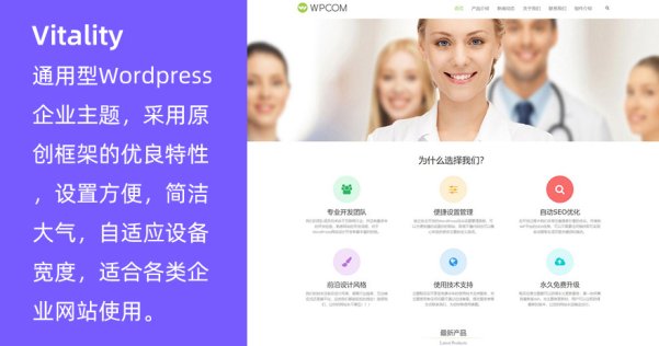 WordPress通用型企业主题 Vitality