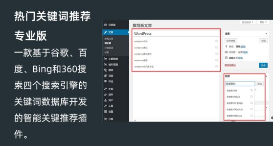 WordPress热门关键词推荐插件专业版