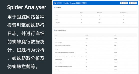 搜索引擎蜘蛛统计分析插件 Spider Analyser