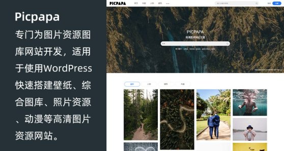 WordPress图库资源下载站主题 Picpapa